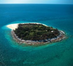 Inselresorts - Wilson Island, Great Barrier Reef